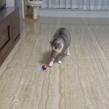 Akıllı Şarjlı Hareketli Kedi Oyuncağı – USB Şarjlı İnteraktif Halatlı Top Kedi Oyuncağı